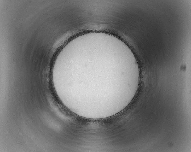 X0000113740682200910211125