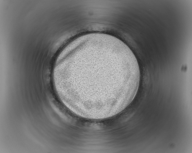 X0000113740683200910211125