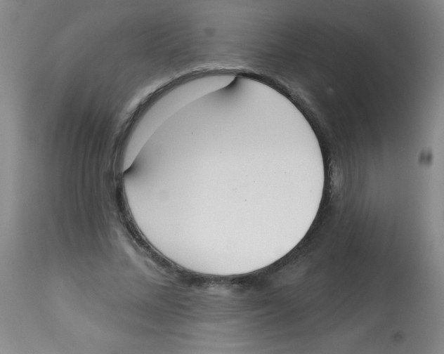 X0000113740684200910211125