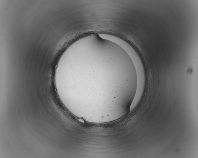 X0000113740685200910211125