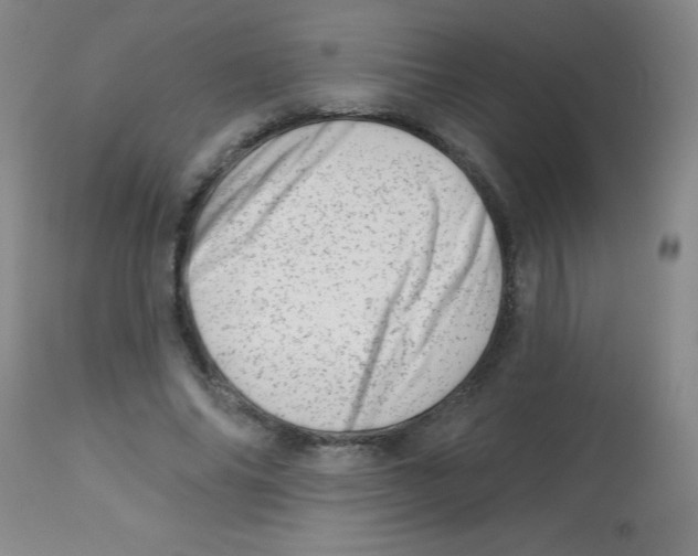 X0000113740686200910211125
