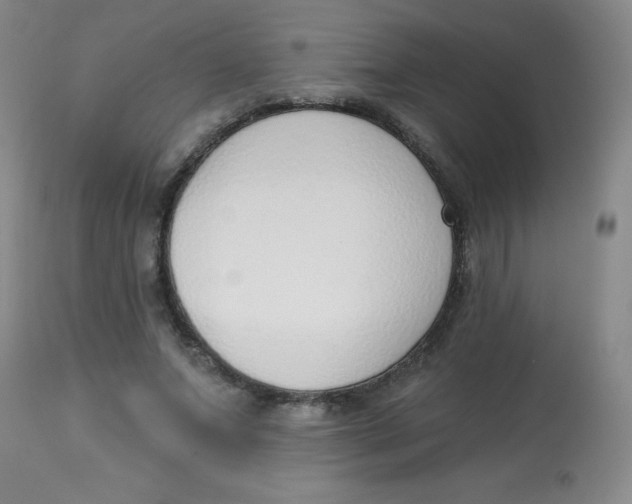 X0000113740687200910211125