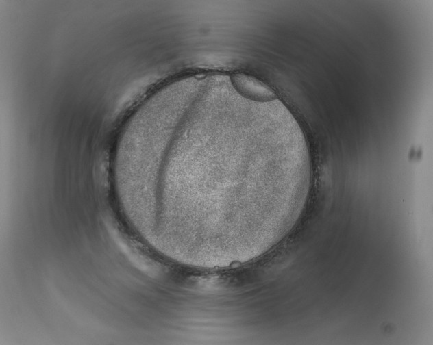 X0000113740688200910211125