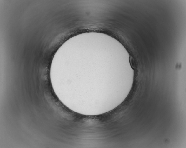 X0000113740689200910211125
