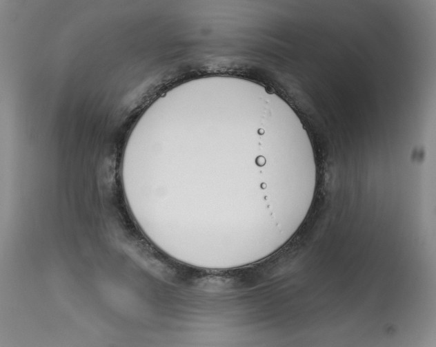 X0000113740691200910211125