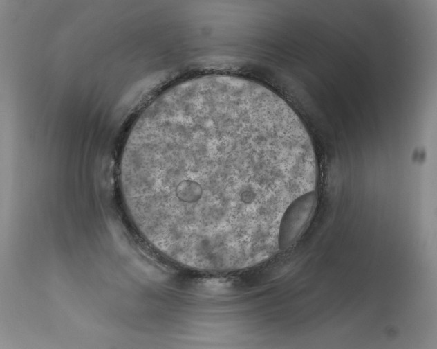 X0000113740692200910211125