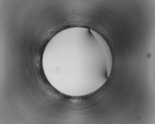 X0000113740693200910211125