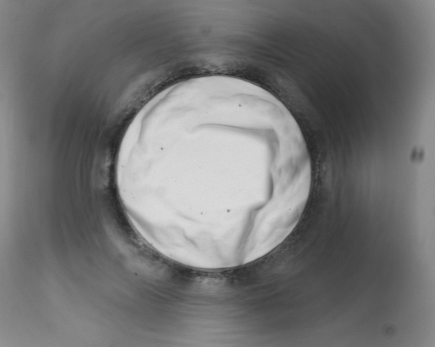 X0000113740694200910211125