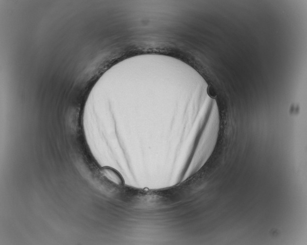 X0000113740695200910211125