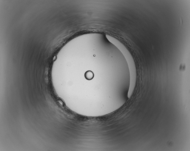 X0000113740696200910211125