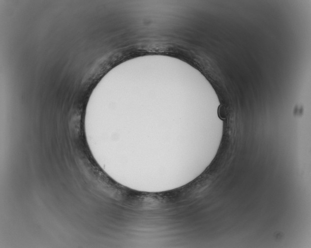 X0000113740697200910211125