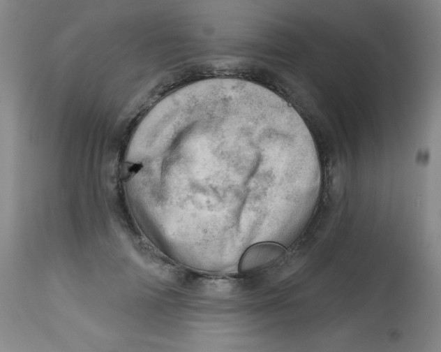 X0000113740698200910211125