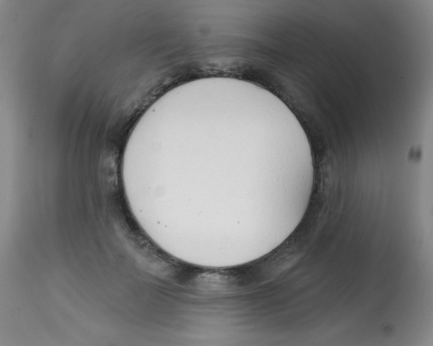 X0000113740699200910211125