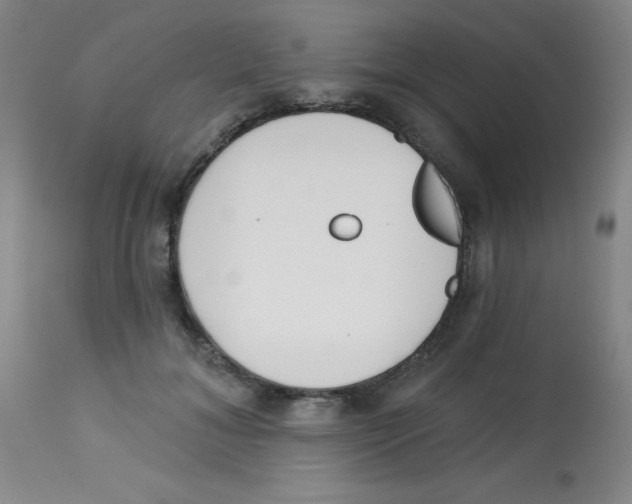 X0000113740700200910211125