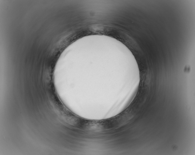 X0000113740702200910211125