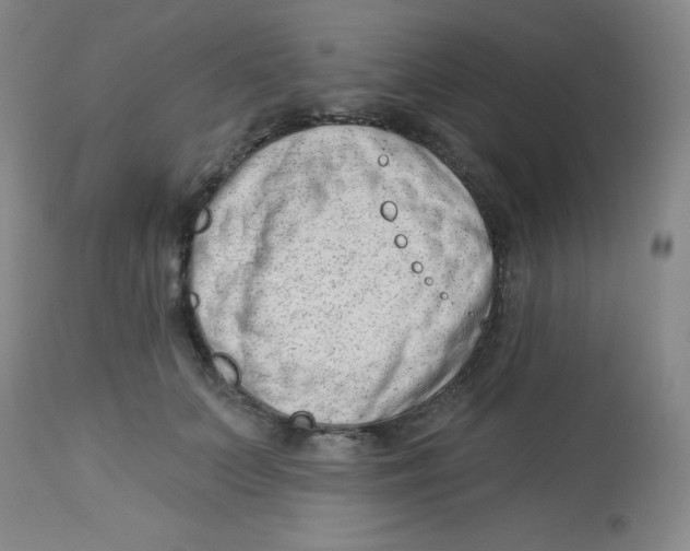 X0000113740703200910211125