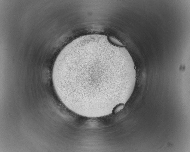 X0000113740704200910211125