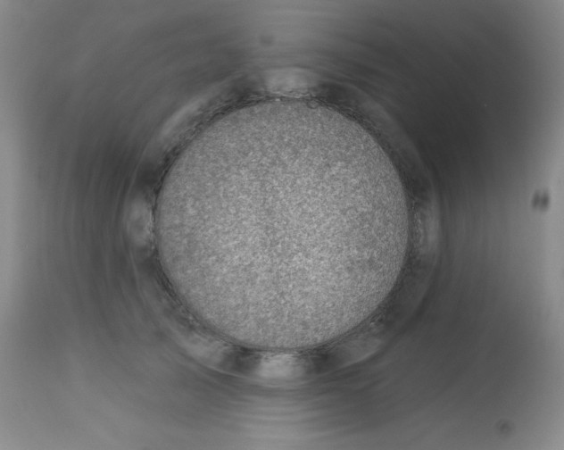 X0000113740705200910211125