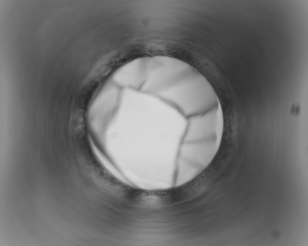 X0000113740706200910211125