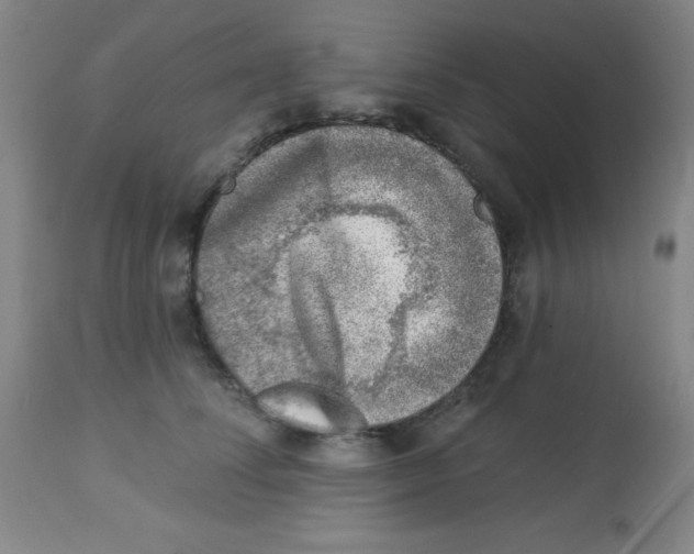 X0000113740708200910211125