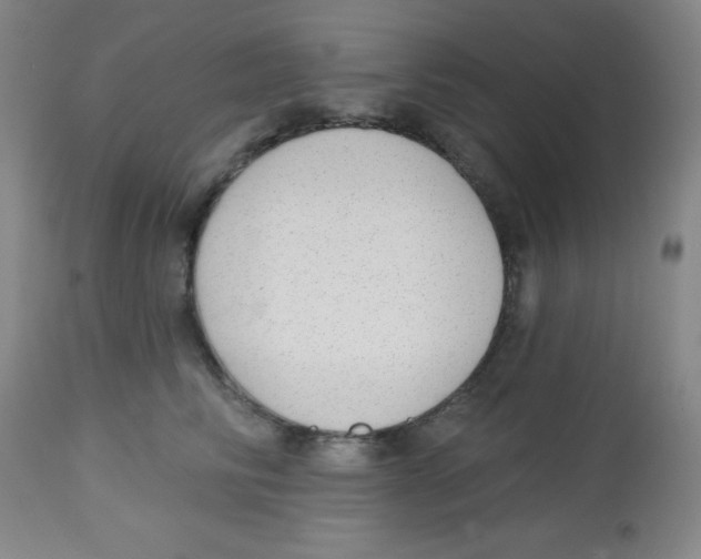 X0000113740710200910211125