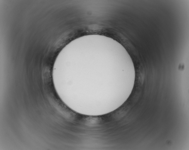 X0000113740711200910211125