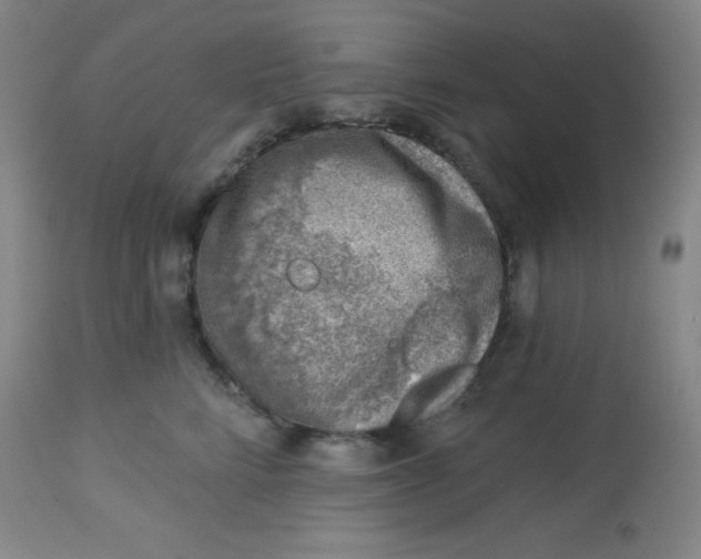 X0000113740712200910211125