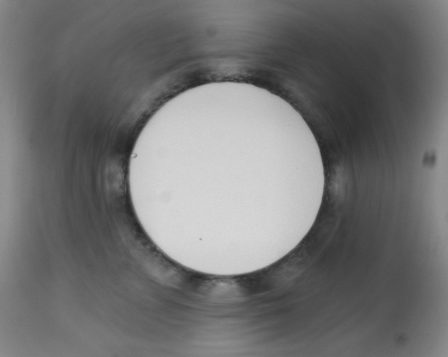 X0000113740715200910211125