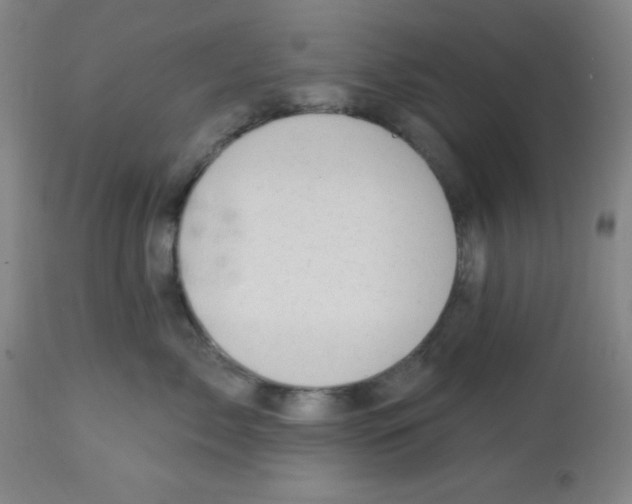 X0000113740717200910211124