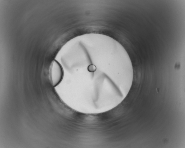 X0000113740718200910211124