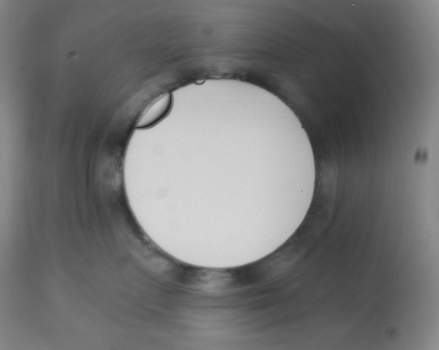 X0000113740719200910211124