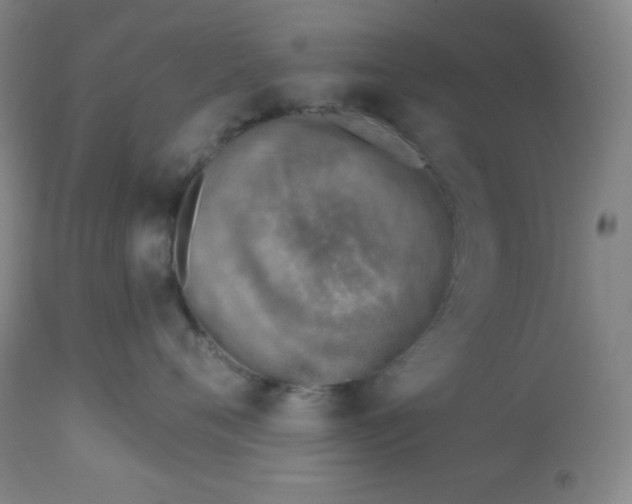 X0000113740720200910211124