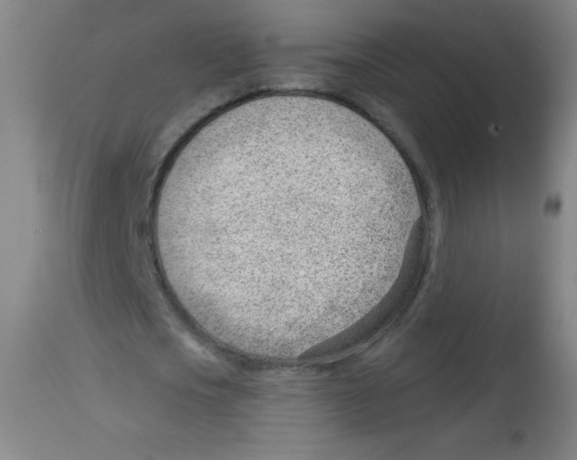 X0000113740721200910211124