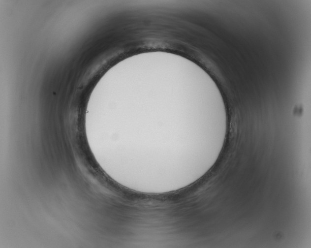 X0000113740722200910211124