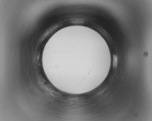 X0000113740723200910211124