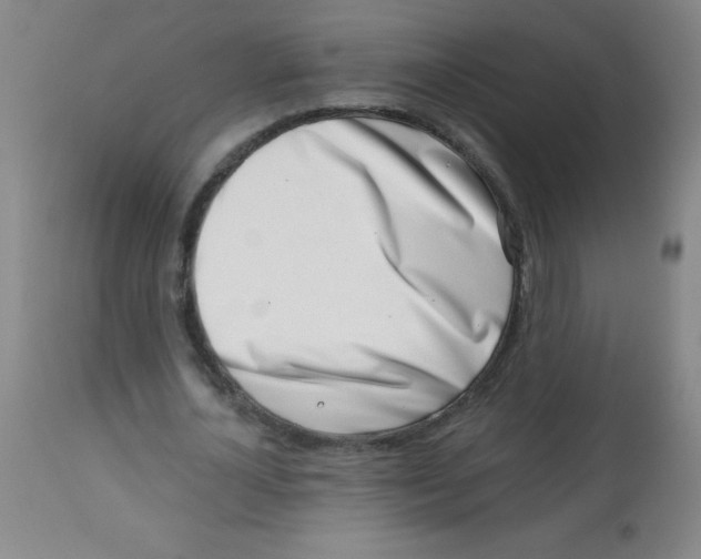 X0000113740724200910211124