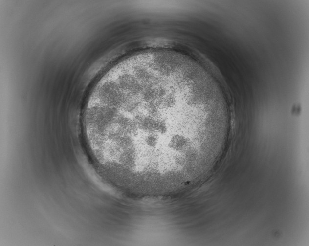 X0000113740725200910211124