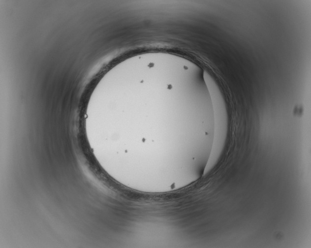 X0000113740726200910211124