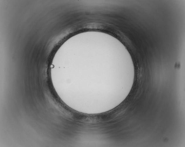 X0000113740727200910211124