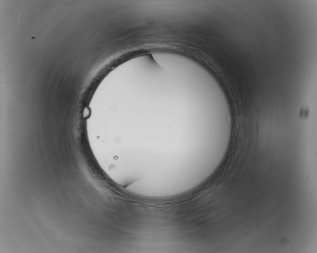 X0000113740728200910211124