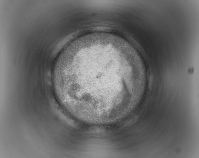 X0000113740729200910211124
