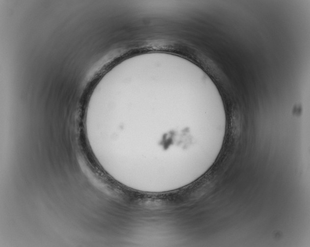 X0000113740730200910211124