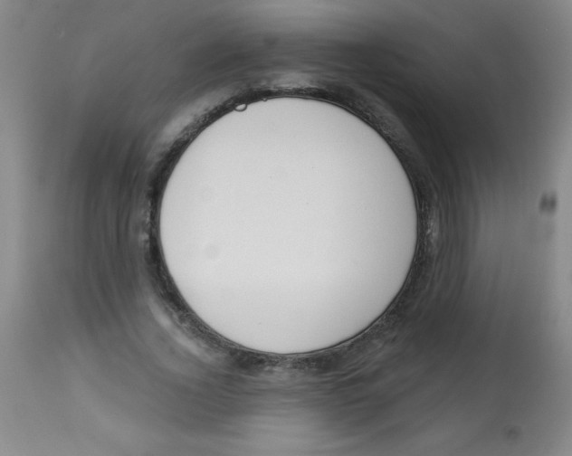 X0000113740732200910211124