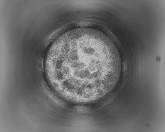 X0000113740733200910211124