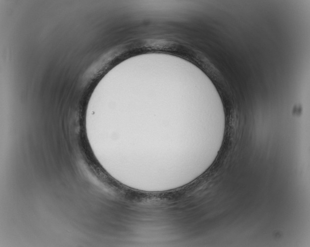 X0000113740734200910211124