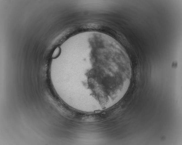 X0000113740735200910211124