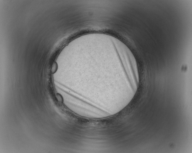 X0000113740736200910211124