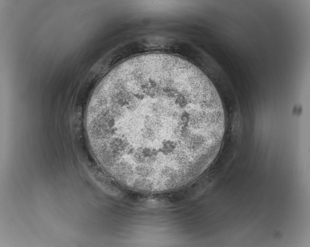 X0000113740737200910211124