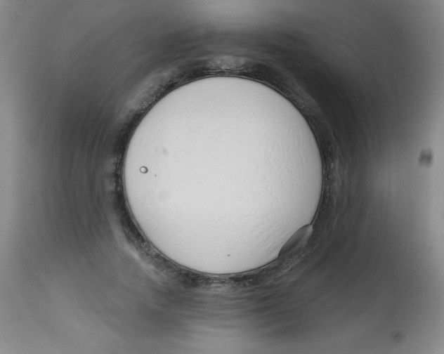 X0000113740738200910211124