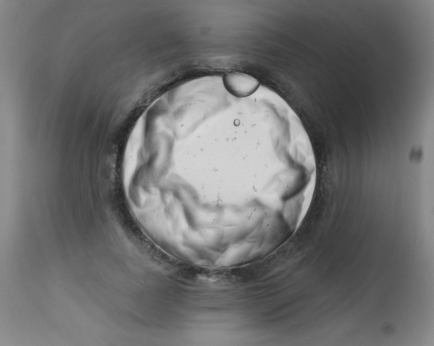 X0000113740739200910211124